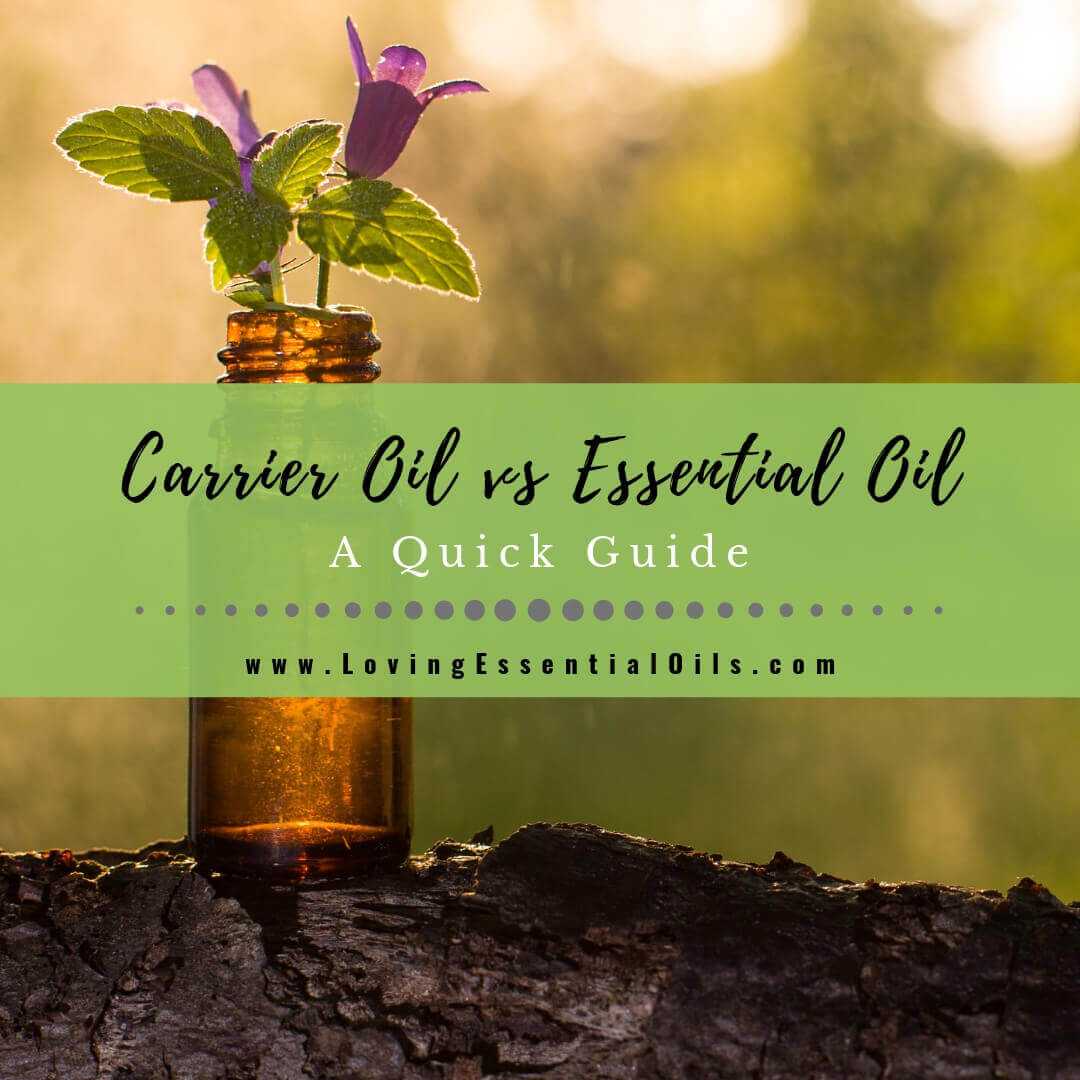 Carrier Oil vs Essential Oil - What's the Difference? A Quick Guide