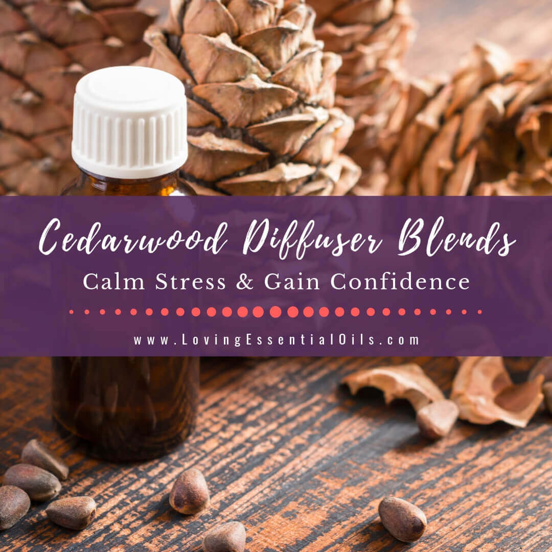 Cedarwood Diffuser Blends - 10 Woody Essential Oil Recipes