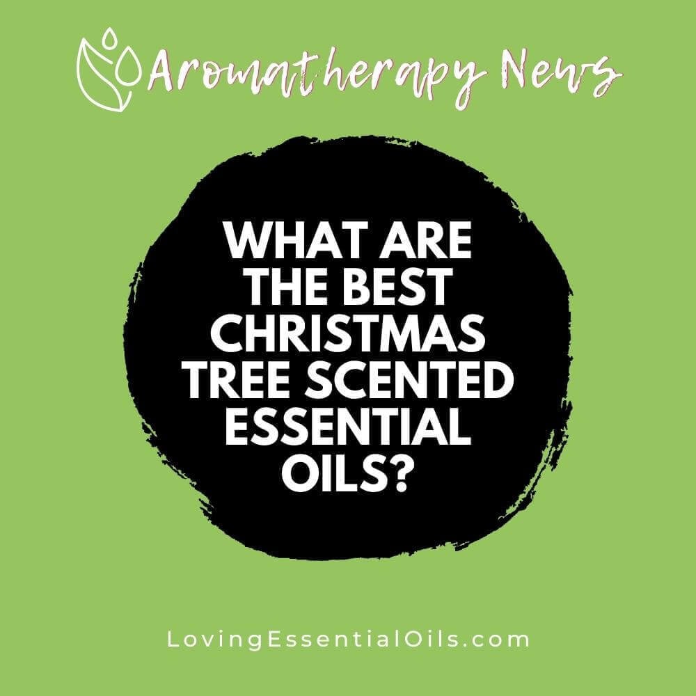 What are the Best Christmas Tree Scented Essential Oils?