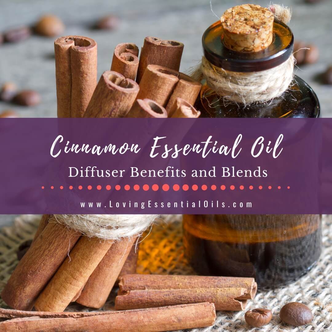 Cinnamon Essential Oil Diffuser Benefits