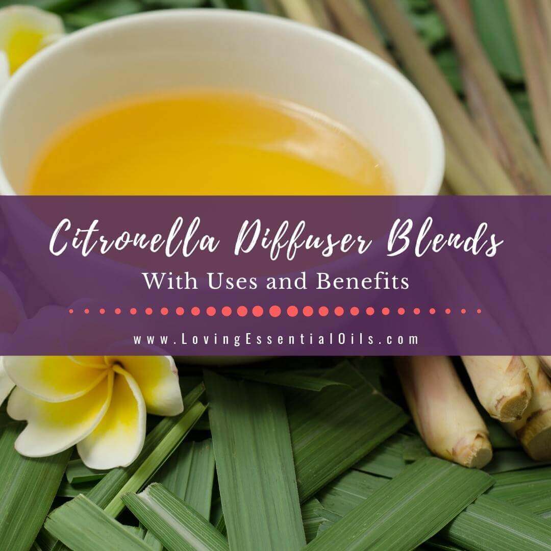 Citronella Diffuser Blends with Essential Oils to Repel Bugs