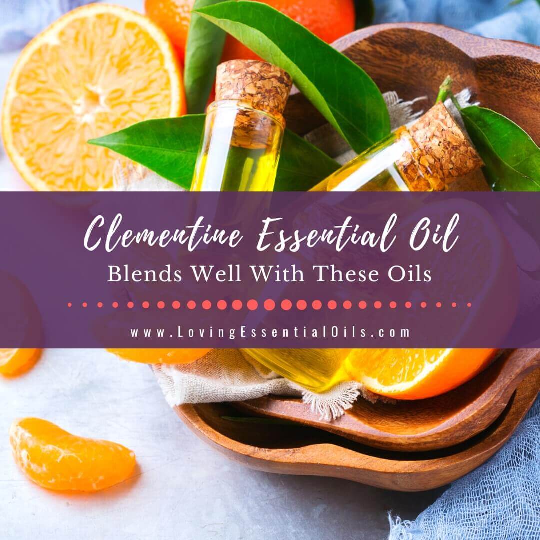 Clementine Blends Well With These Oils - Diffuser Recipes