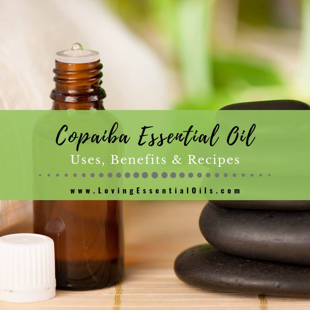 Copaiba Essential Oil Uses, Benefits and Recipes Spotlight