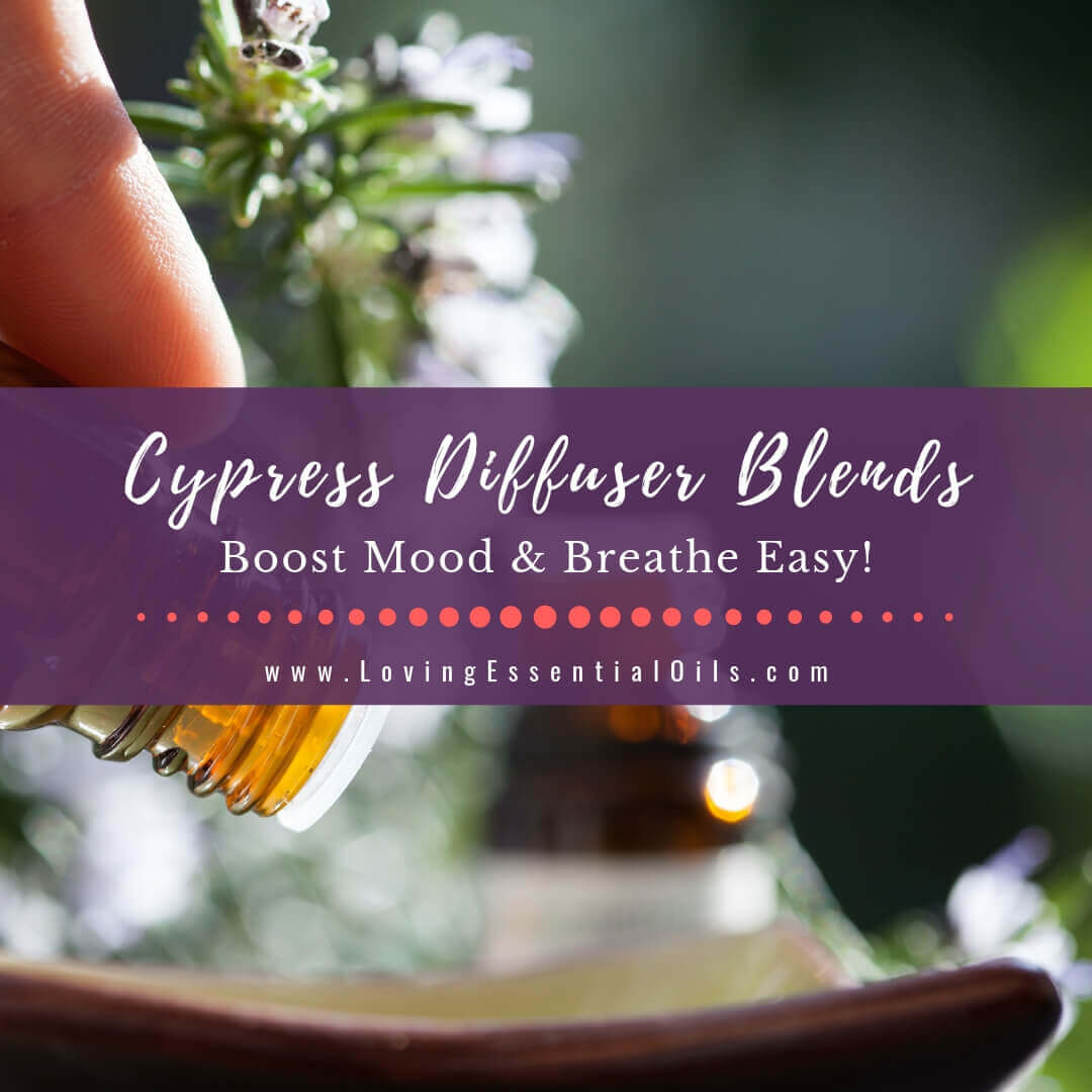 Cypress Diffuser Blends - 10 Essential Oil Recipes