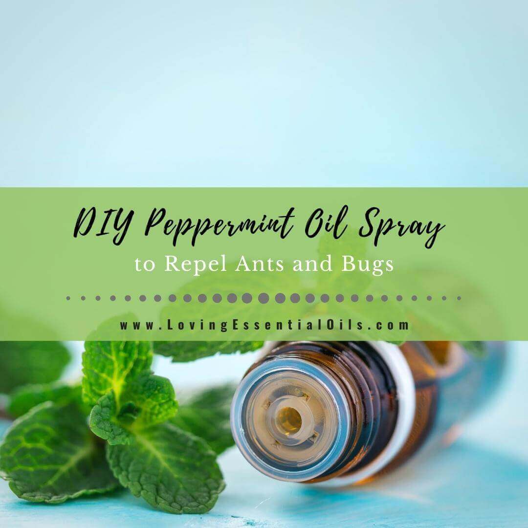 Peppermint Oil Spray for Ants - Keep Ants Away Without Pesticides