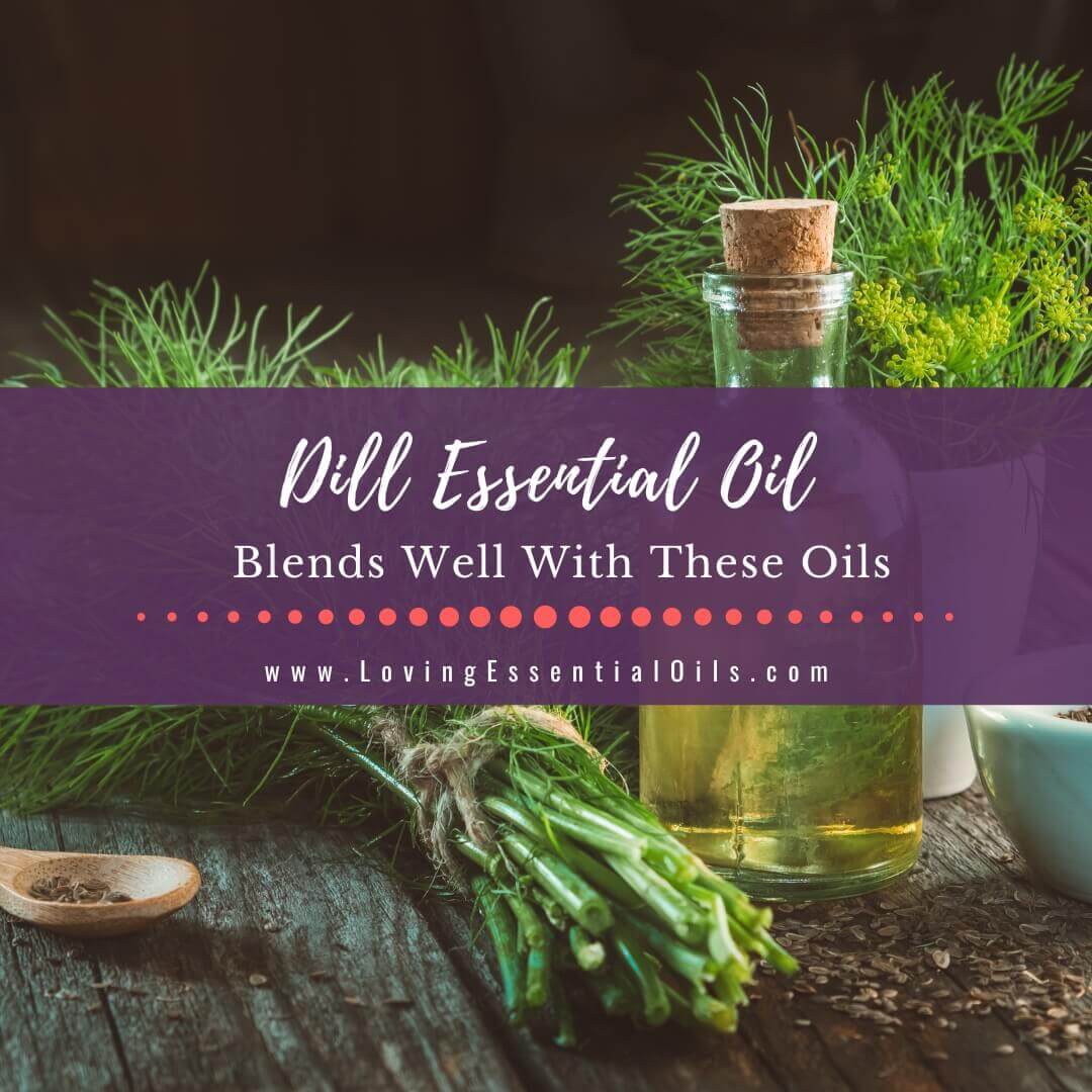 Dill Blends Well With These Oils Plus 10 Diffuser Recipes