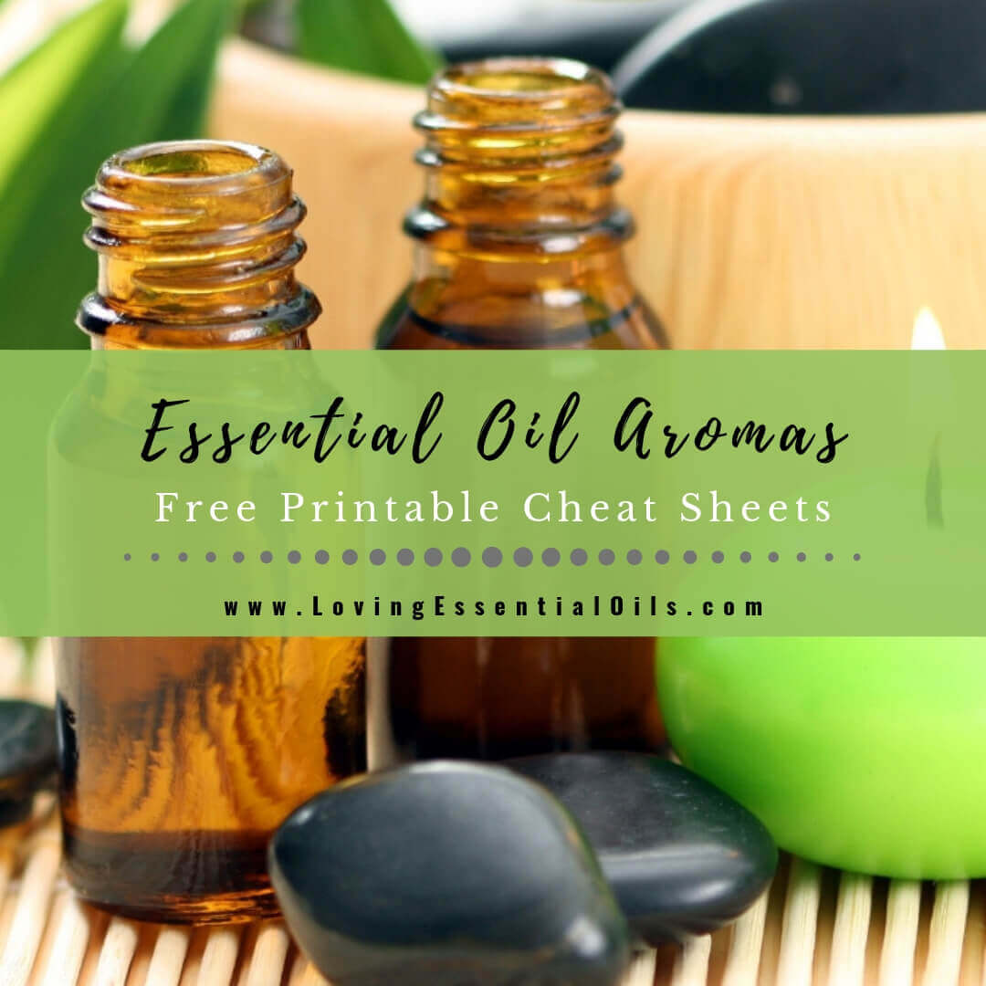 List of Essential Oil Aromas and Scents - Free Printable Cheat Sheet