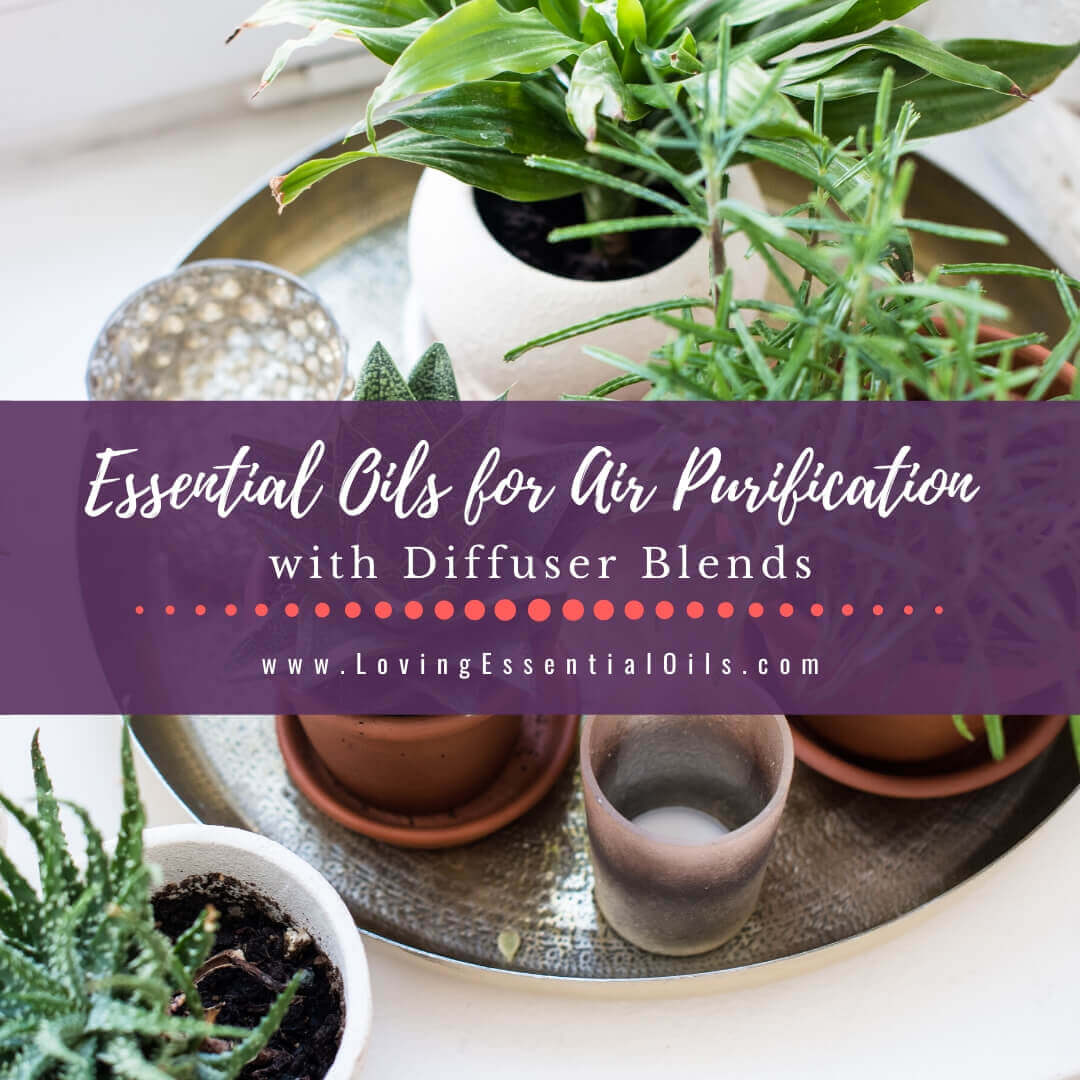 Essential Oils for Air Purification with Purifying Diffuser Blends