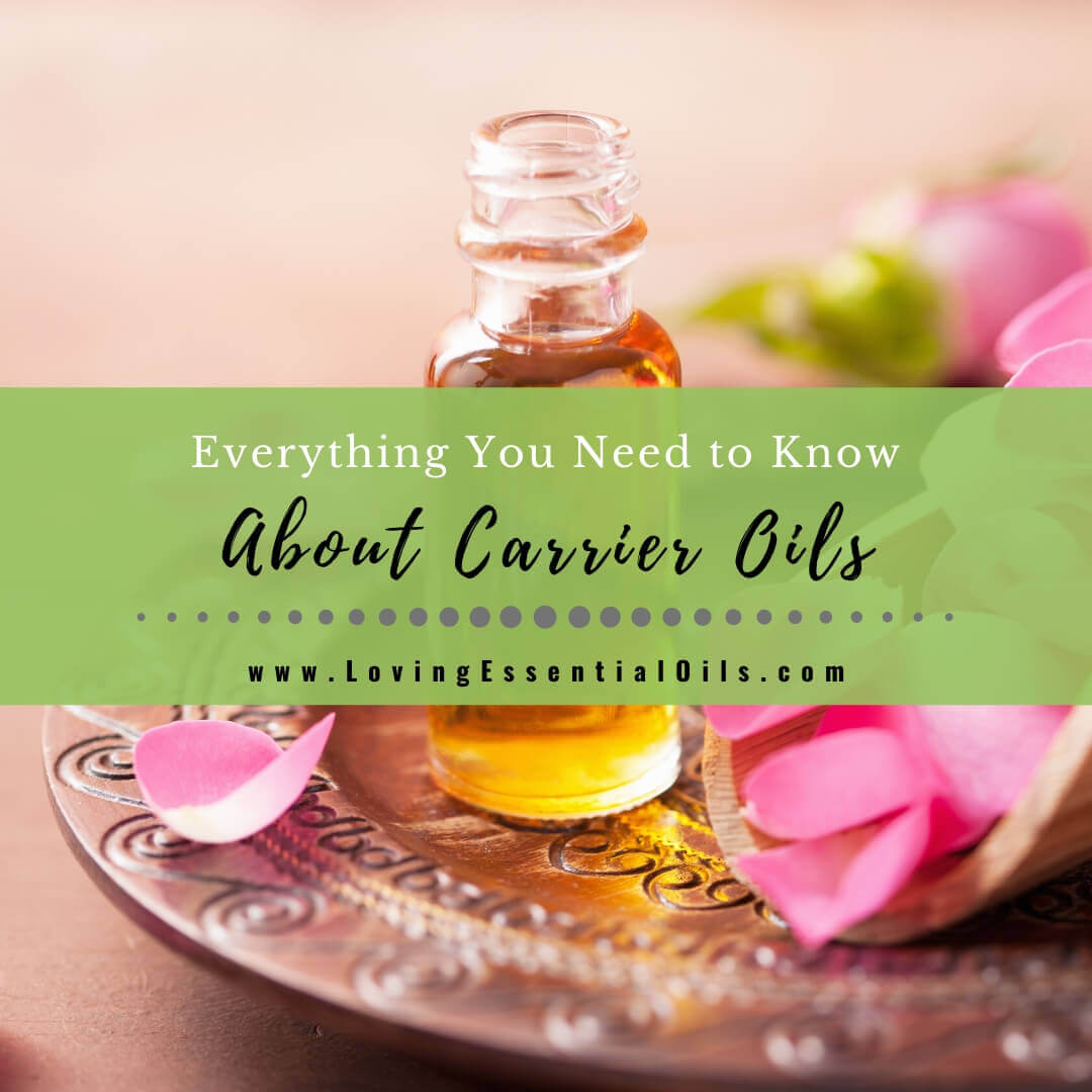 Everything You Need to Know About Carrier Oils and Benefits