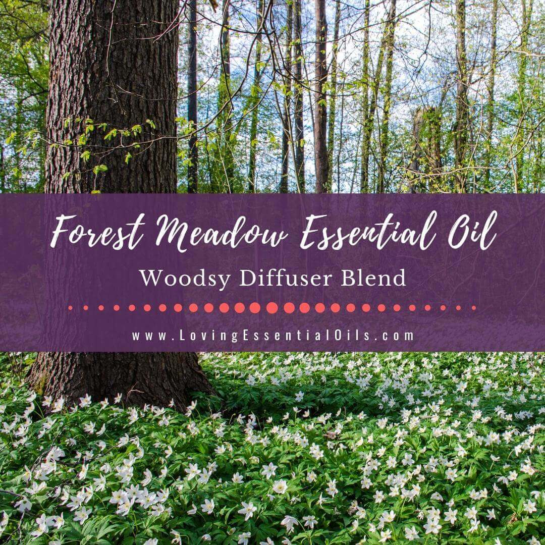 Forest Meadow Essential Oil Diffuser Blend - Woodsy Scent