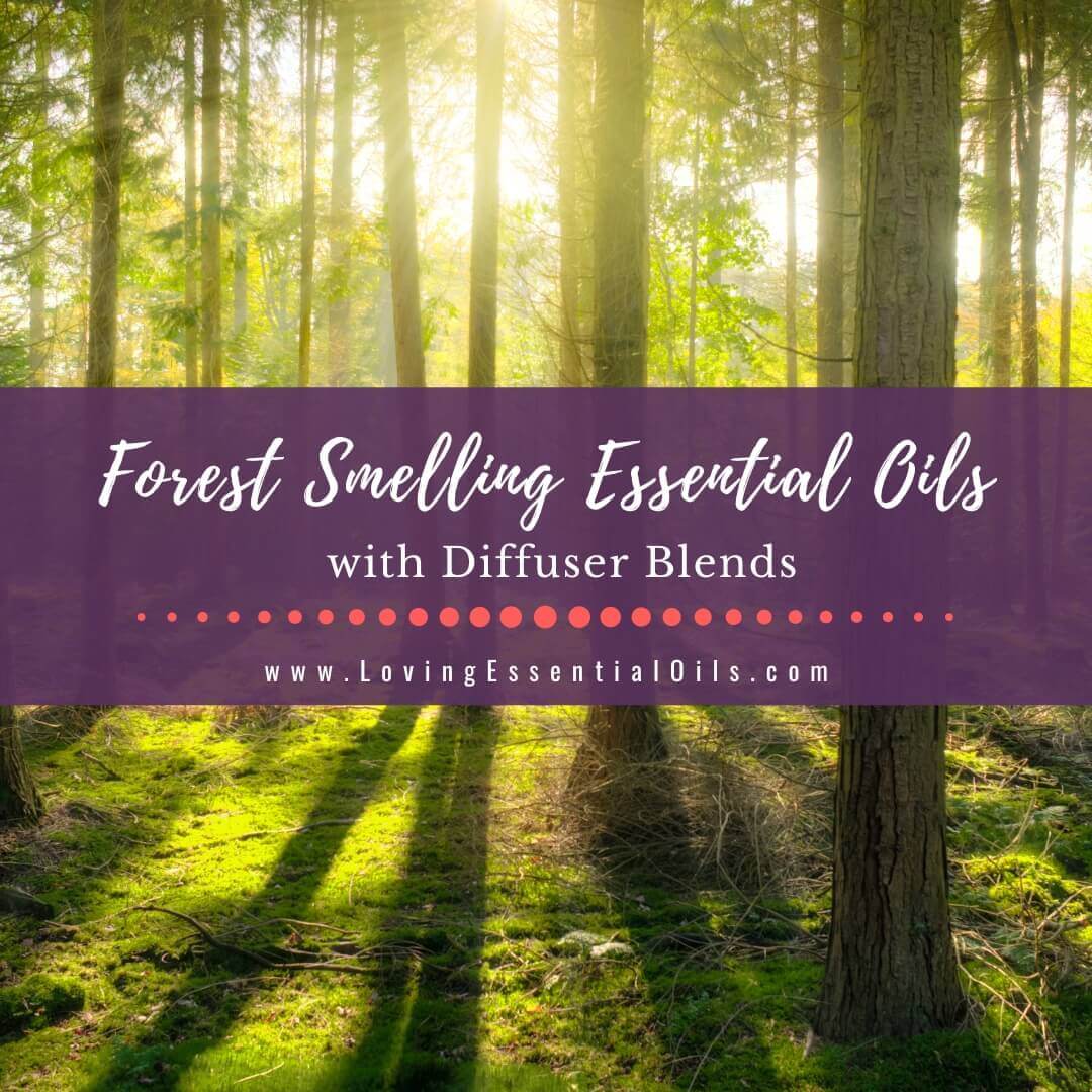 Forest Smelling Essential Oils with Diffuser Blends