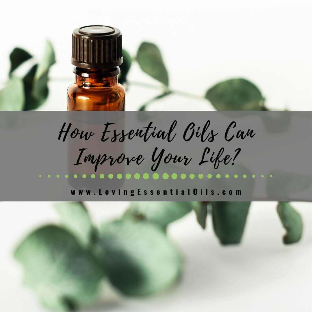 How Essential Oils Can Improve Your Life