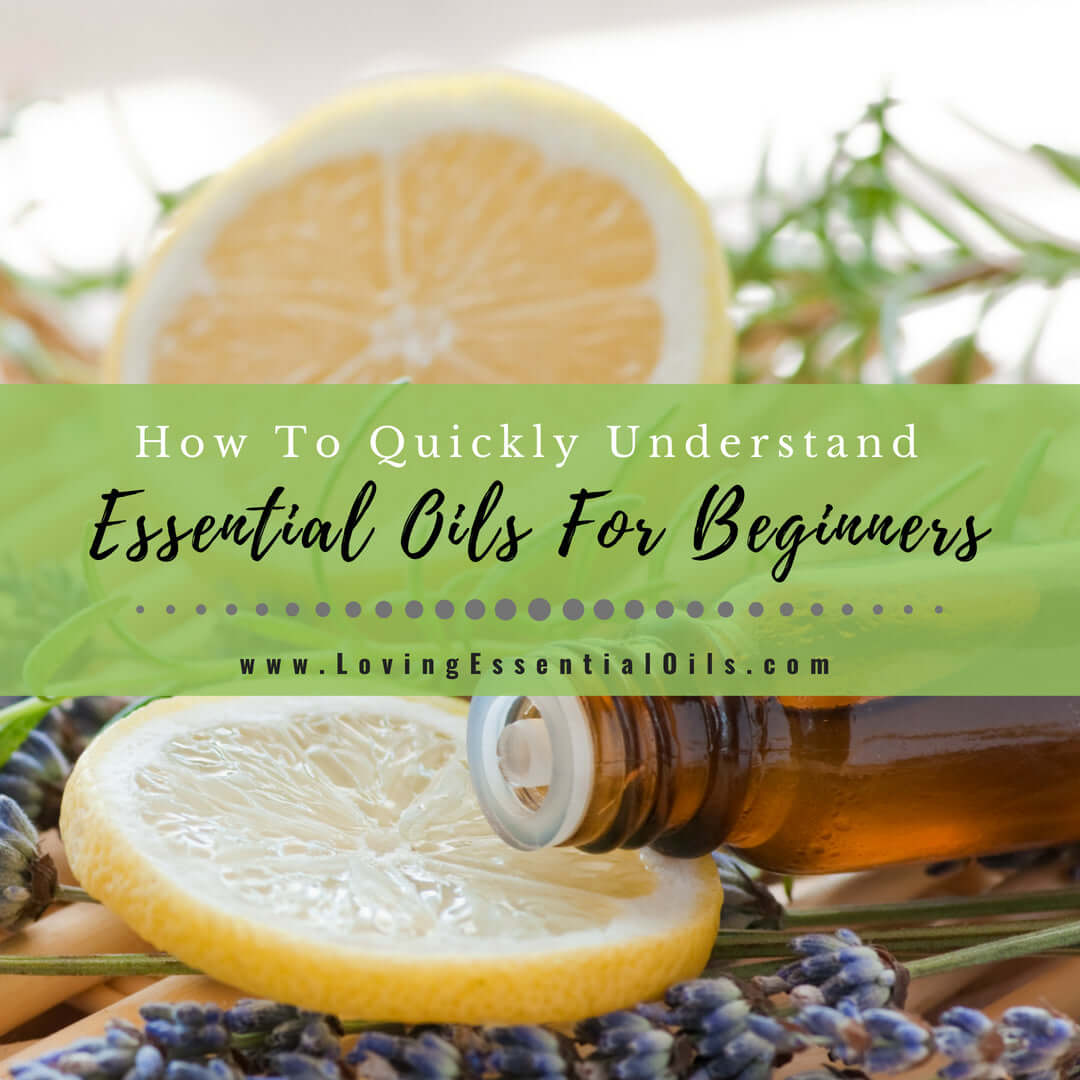 How To Quickly Understand Essential Oils For Beginners - Oily FAQ