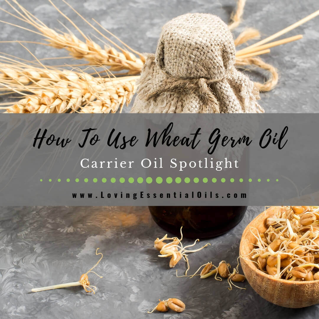 How To Use Wheat Germ Oil for Scars and Skin - Carrier Oil