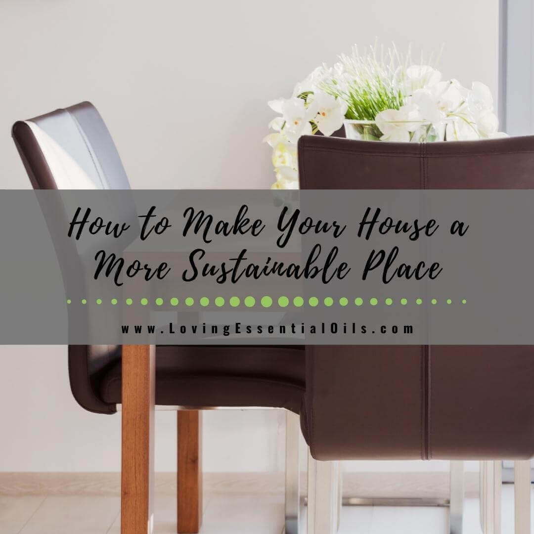 How to Make Your House a Healthier and More Sustainable Place