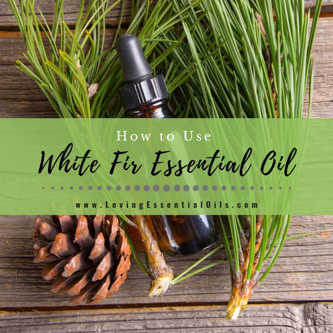 How to Use White Fir Essential Oil For Energy and Focus