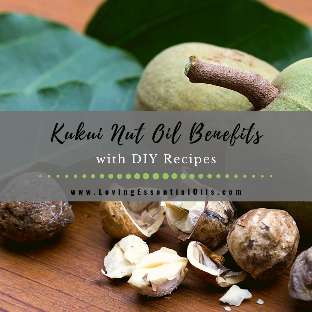 Kukui Nut Oil Benefits and DIY Recipes - Carrier Oil Spotlight