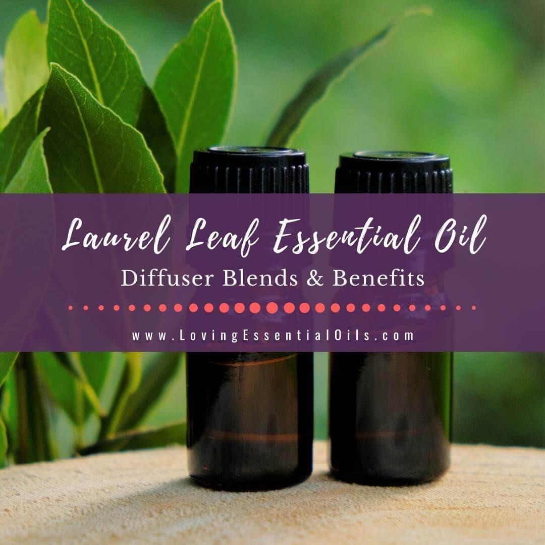 Laurel Leaf Diffuser Blends with Essential Oil Diffusing Benefits