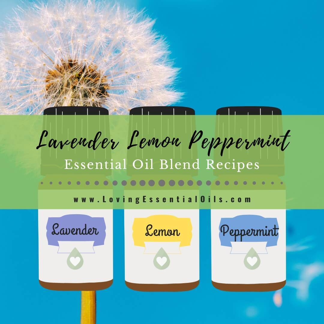 Lavender Lemon Peppermint Oil Blend Recipes - LLP Allergy