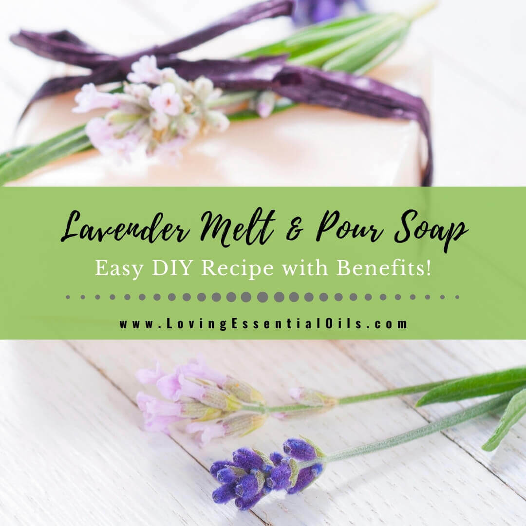 Lavender Melt and Pour Soap Recipe with Aromatherapy Benefits