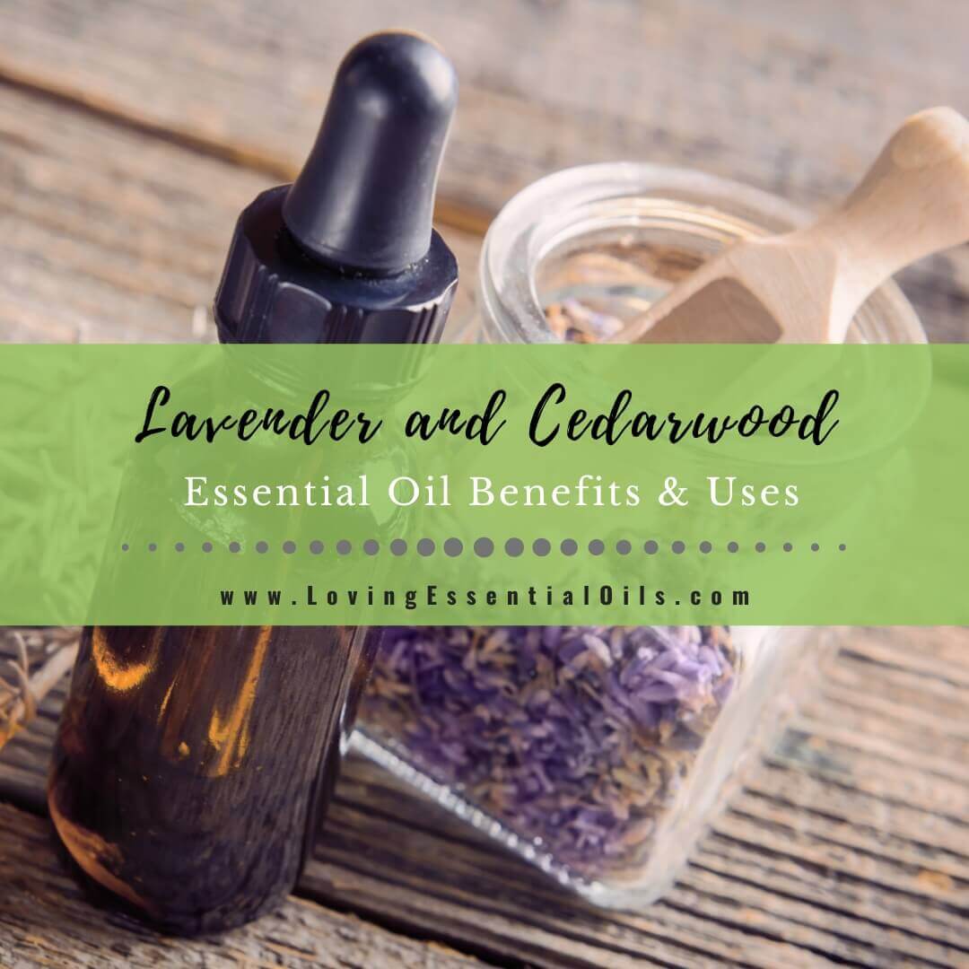 Lavender and Cedarwood Essential Oil Benefits and Uses