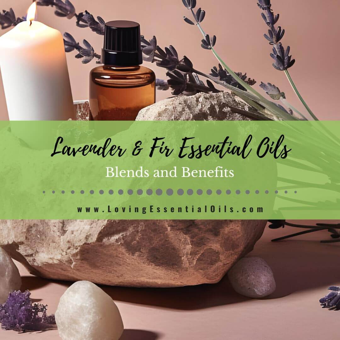 Lavender and Fir Essential Oil Blends and Benefits