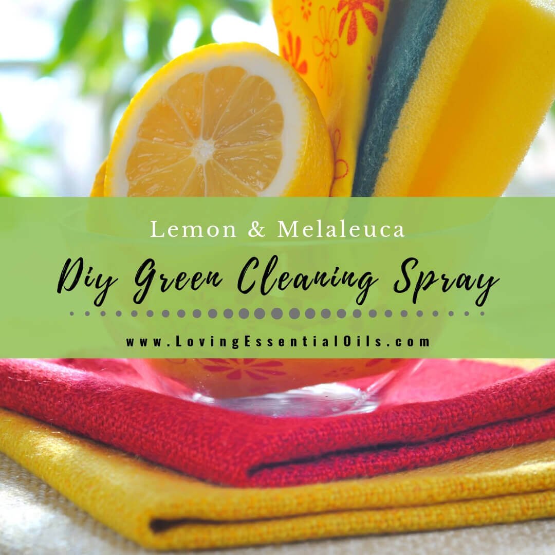 Lemon Melaleuca Non-toxic Green Essential Oil Cleaning Spray Recipe