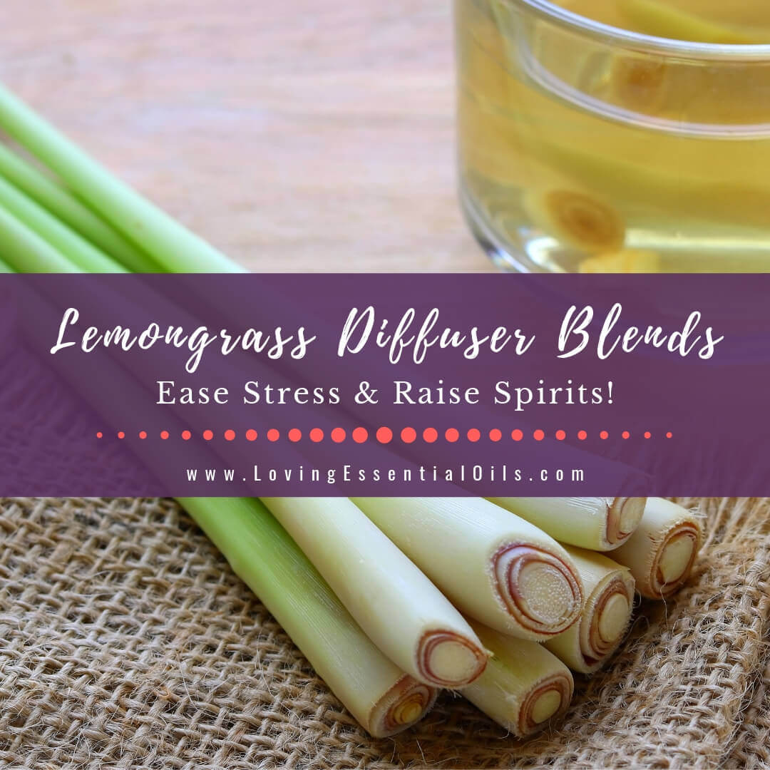 Lemongrass Diffuser Blends - 10 Stress Relief Essential Oil Recipes