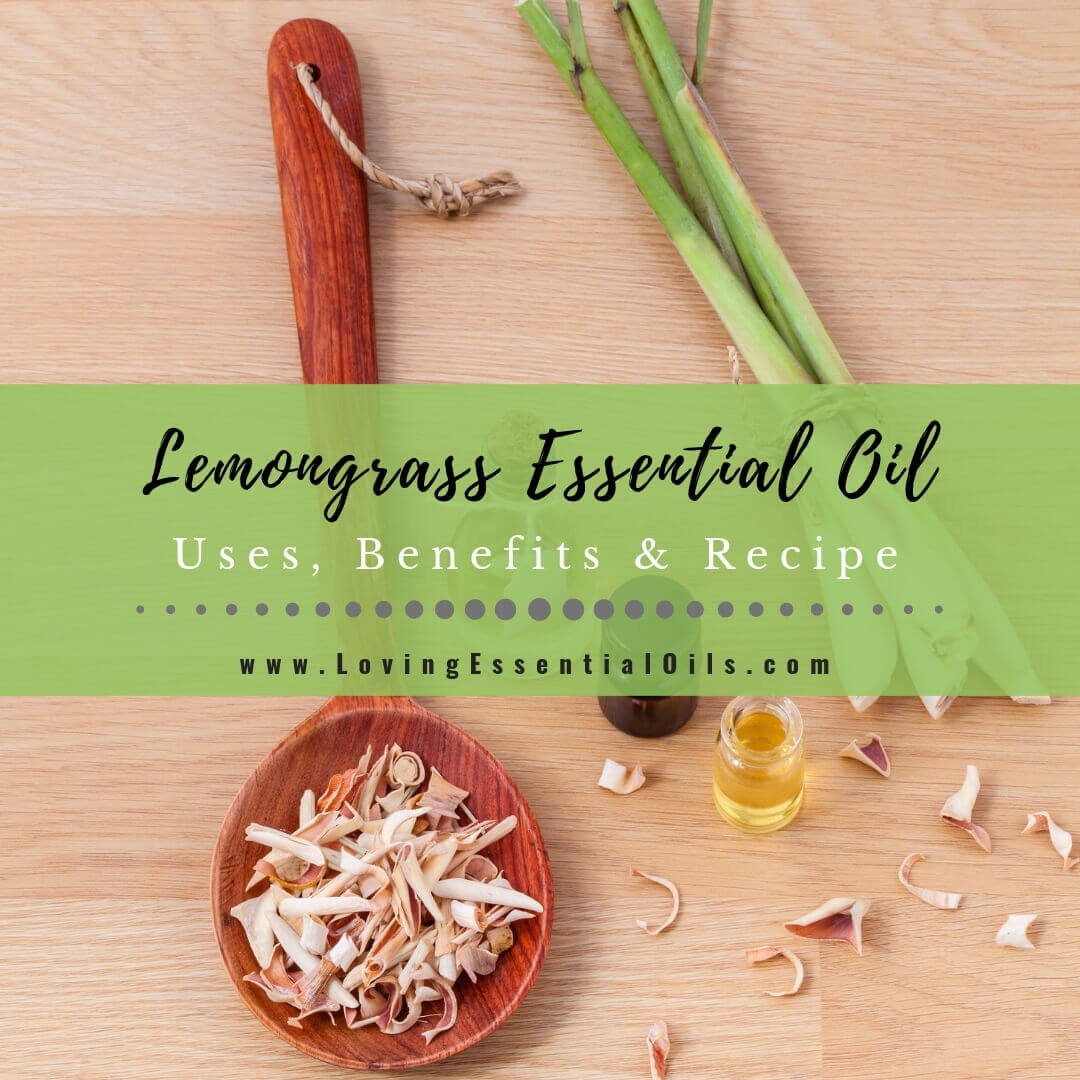 Lemongrass Essential Oil Recipes, Uses and Benefits Spotlight