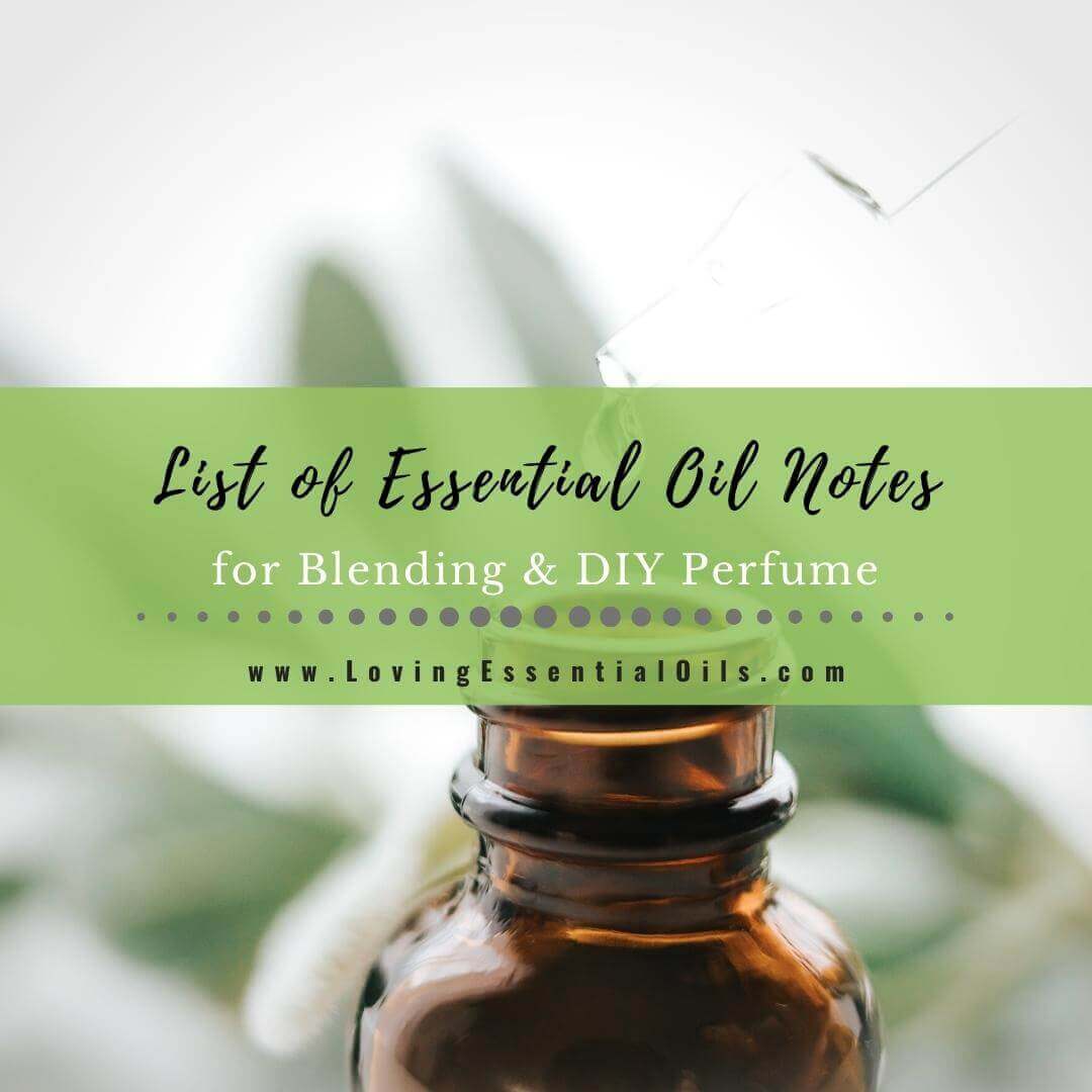 List of Essential Oil Notes for Blending and DIY Perfume