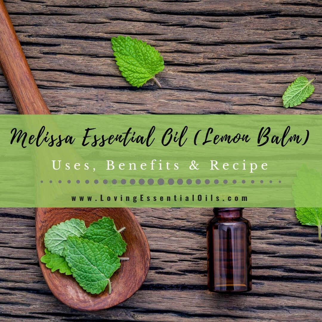 Melissa Essential Oil Benefits, Uses and Recipes Spotlight