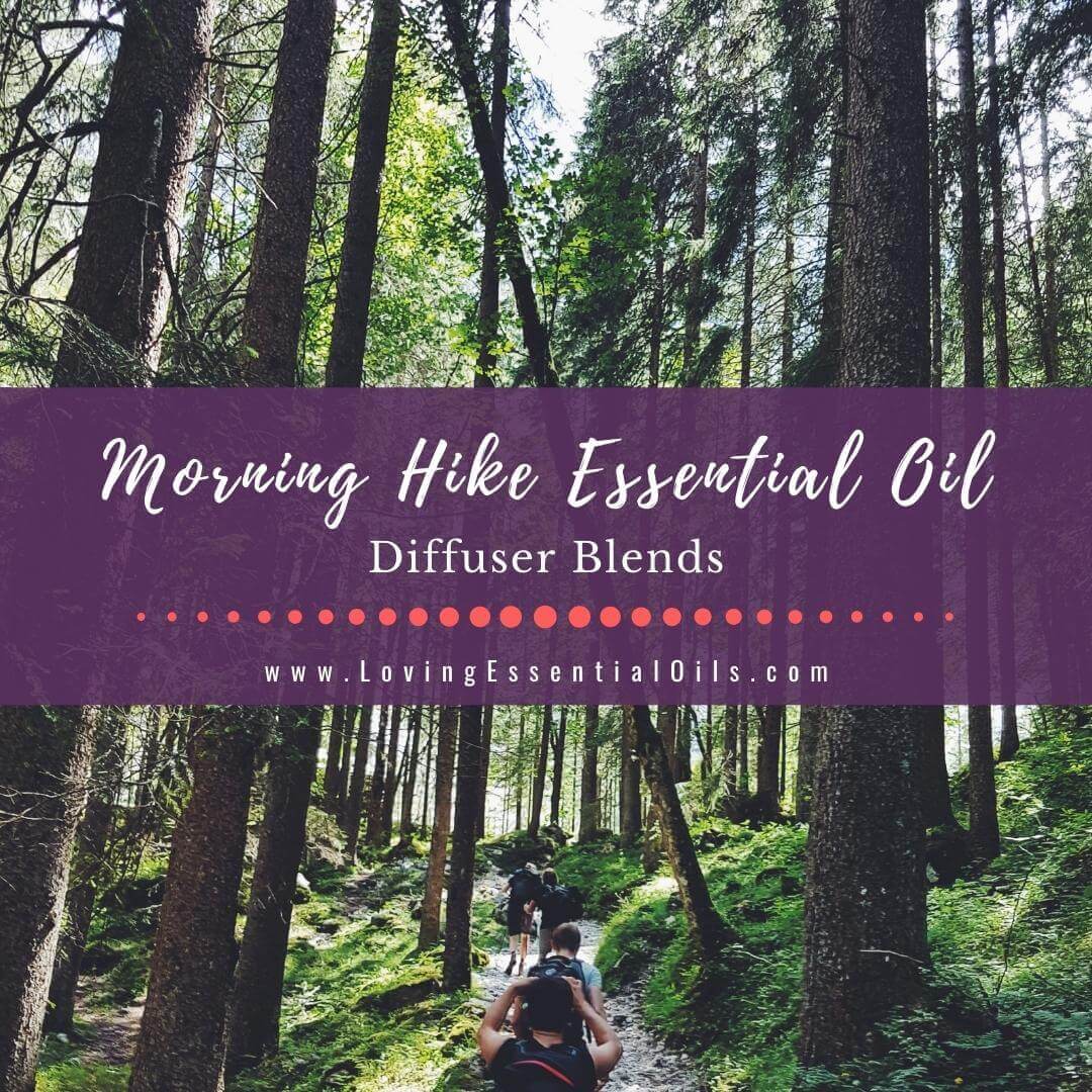 Morning Hike Essential Oil Diffuser Blend - DIY Energy Recipe