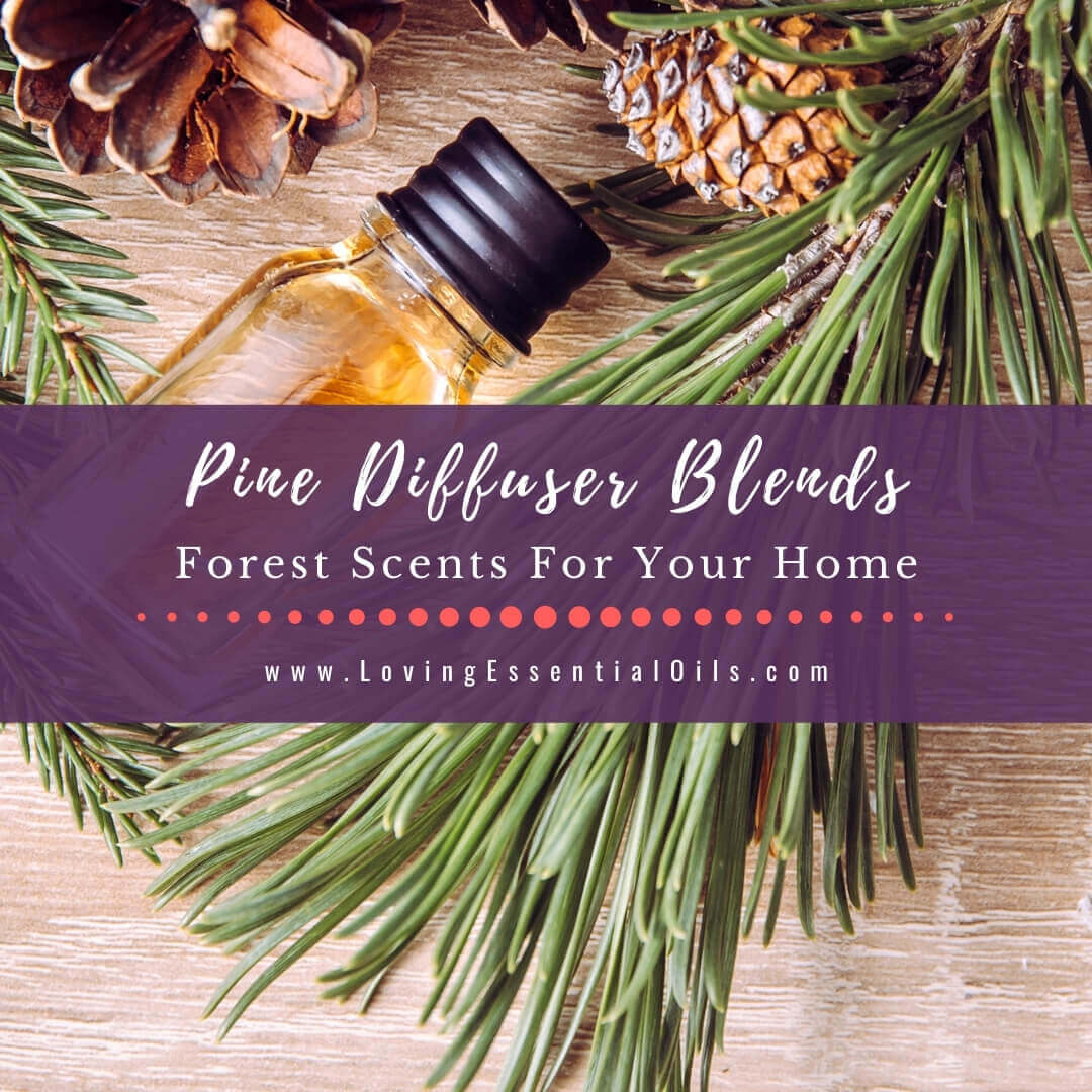 Pine Diffuser Blends - 10 Forest Fresh Essential Oil Scents