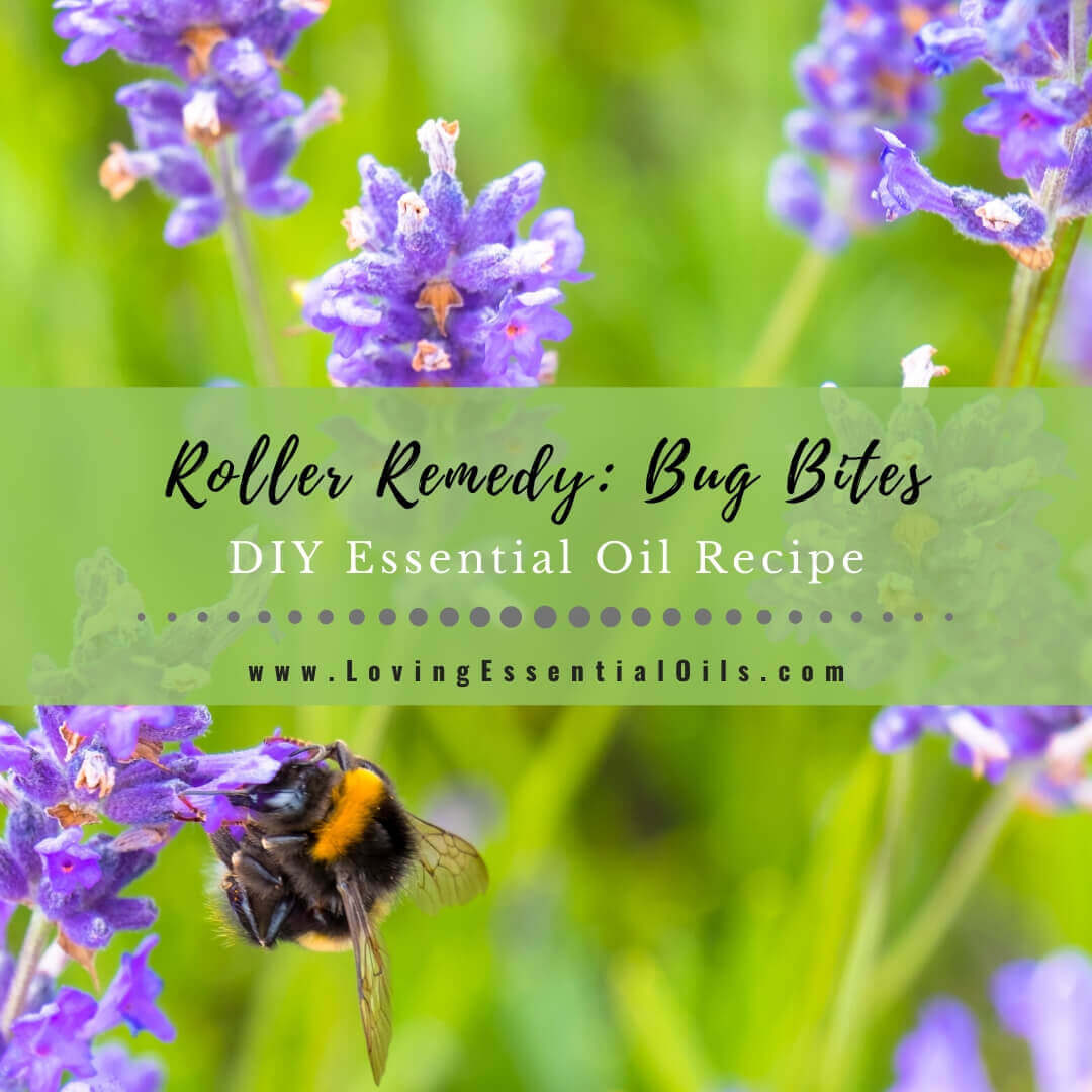 How to Make an Essential Oil Recipe for Bug Bites - DIY Roller Blend