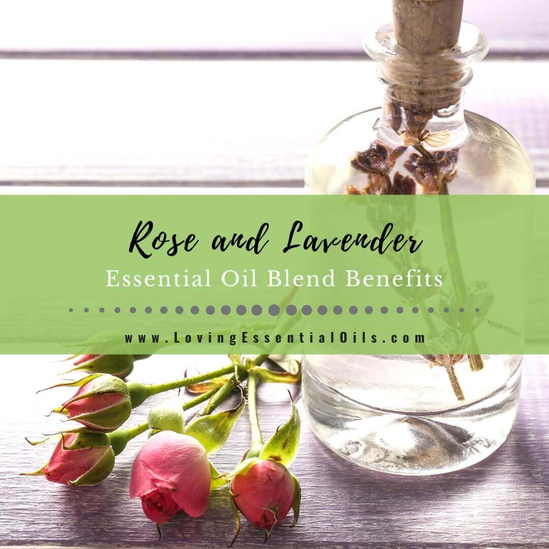 Rose and Lavender Essential Oil Blend Benefits & Recipes