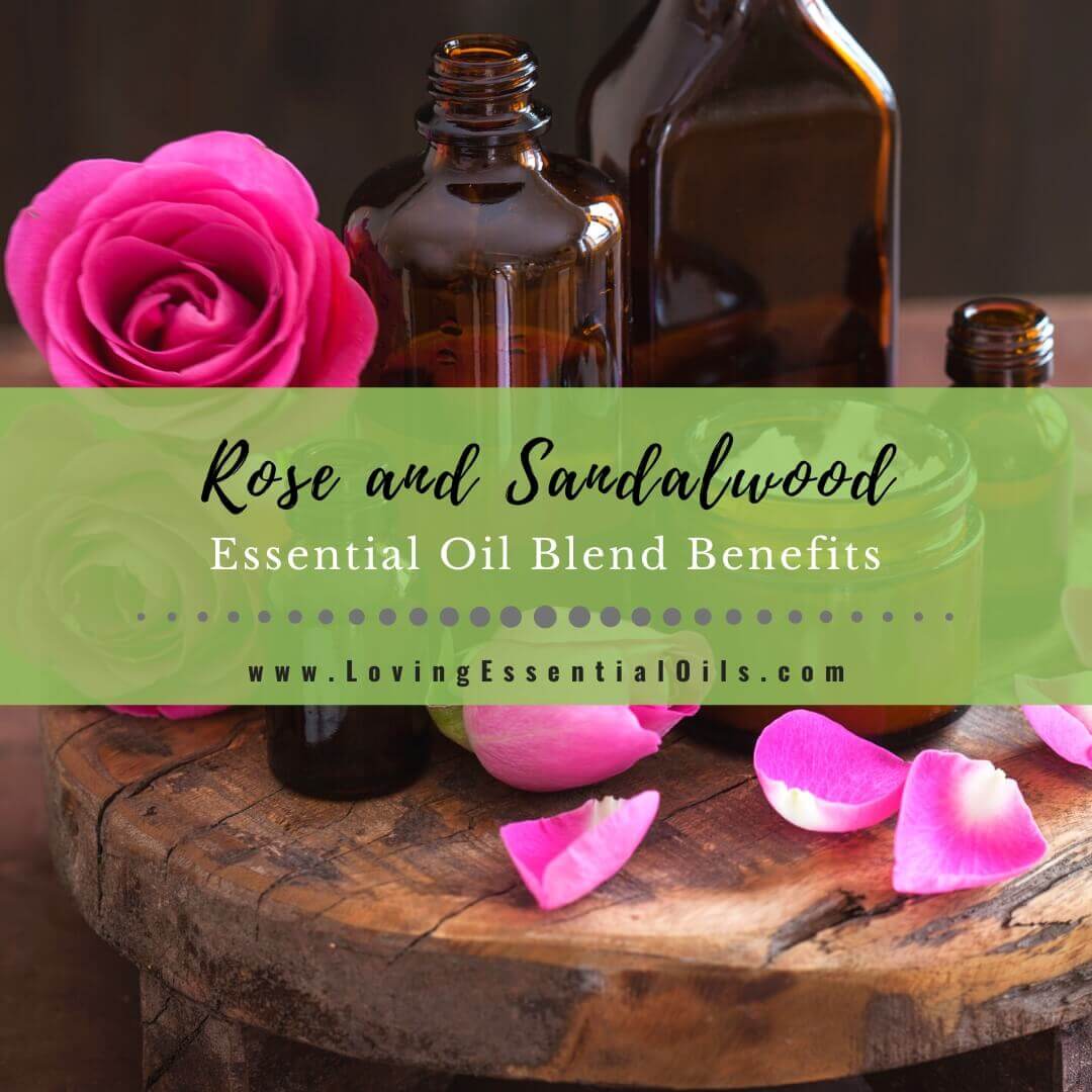 Rose and Sandalwood Essential Oil Blend Benefits with DIY