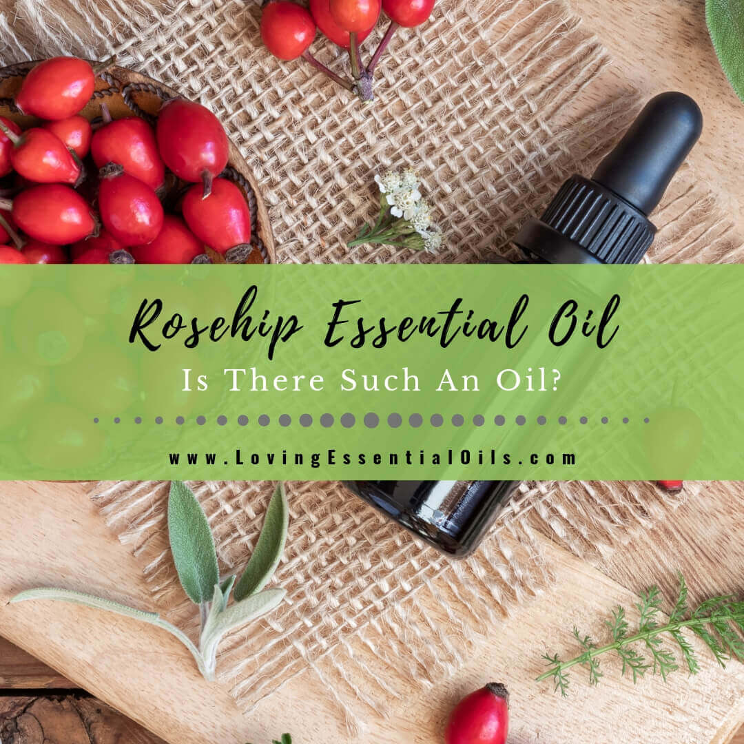 What is Rosehip Essential Oil? Is There Such An Oil?