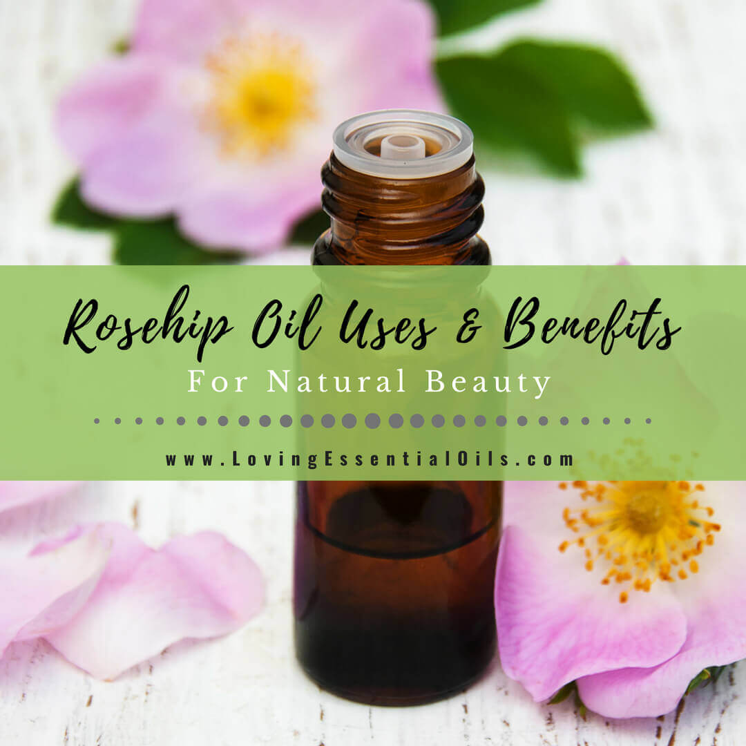 6 Rosehip Oil Uses and Benefits with DIY Essential Oil Recipes