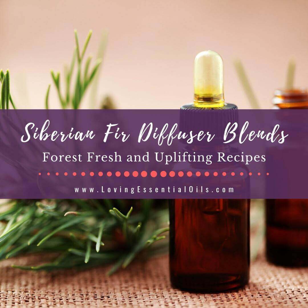 10 Siberian Fir Diffuser Blends with Diffusing Benefits