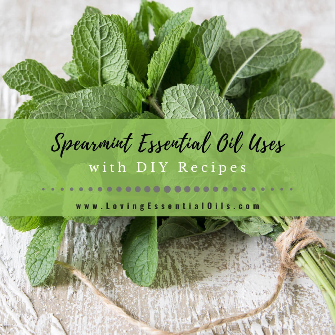 Spearmint Essential Oil Recipes, Uses and Benefits Spotlight