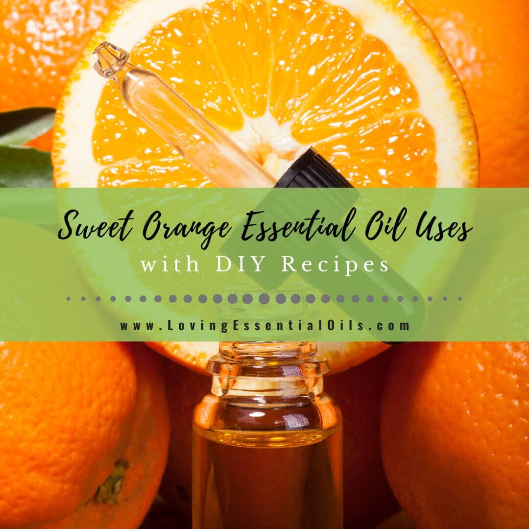 Sweet Orange Essential Oil Recipes, Uses and Benefits Spotlight