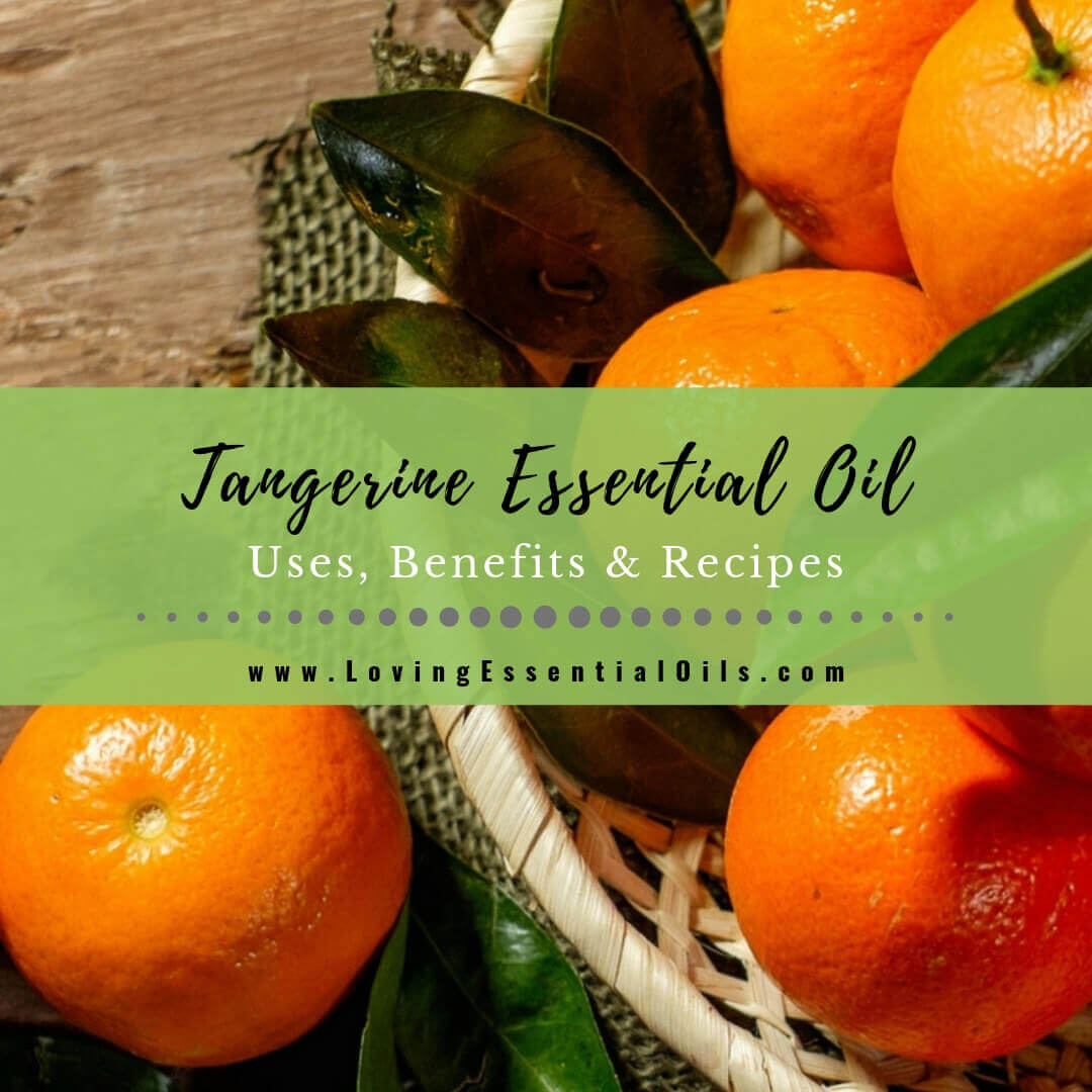 Tangerine Essential Oil Uses, Benefits and Recipes Spotlight