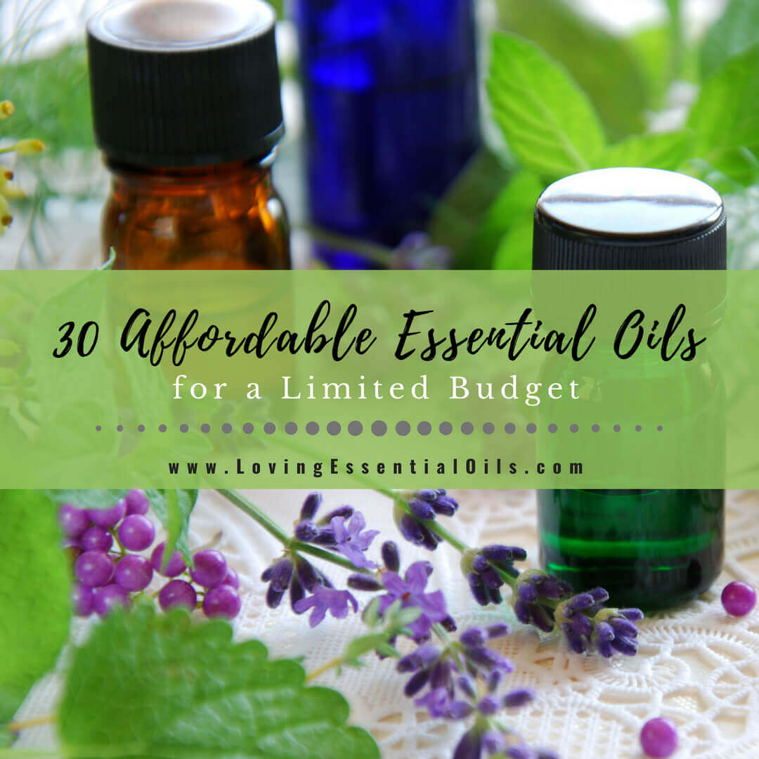 30 Affordable Essential Oils for a Limited Budget - Printable Checklist