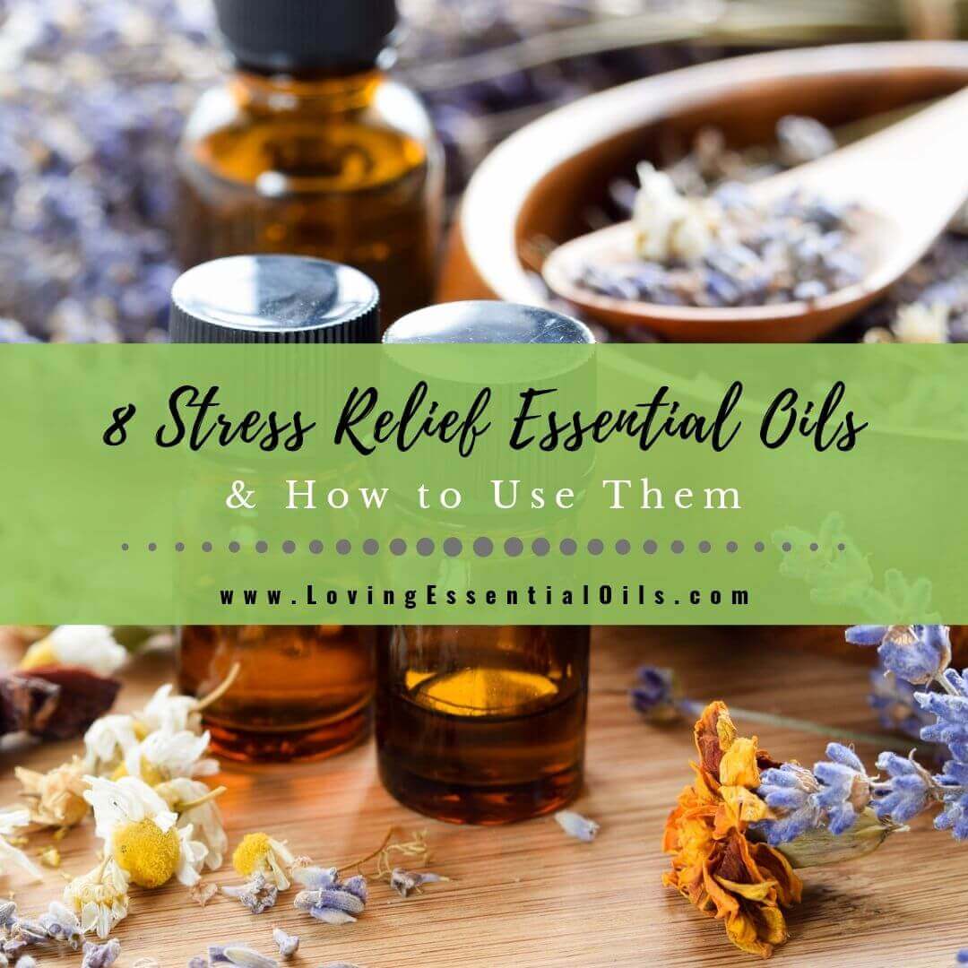 Top 8 Stress Relief Essential Oils and How to Use Them