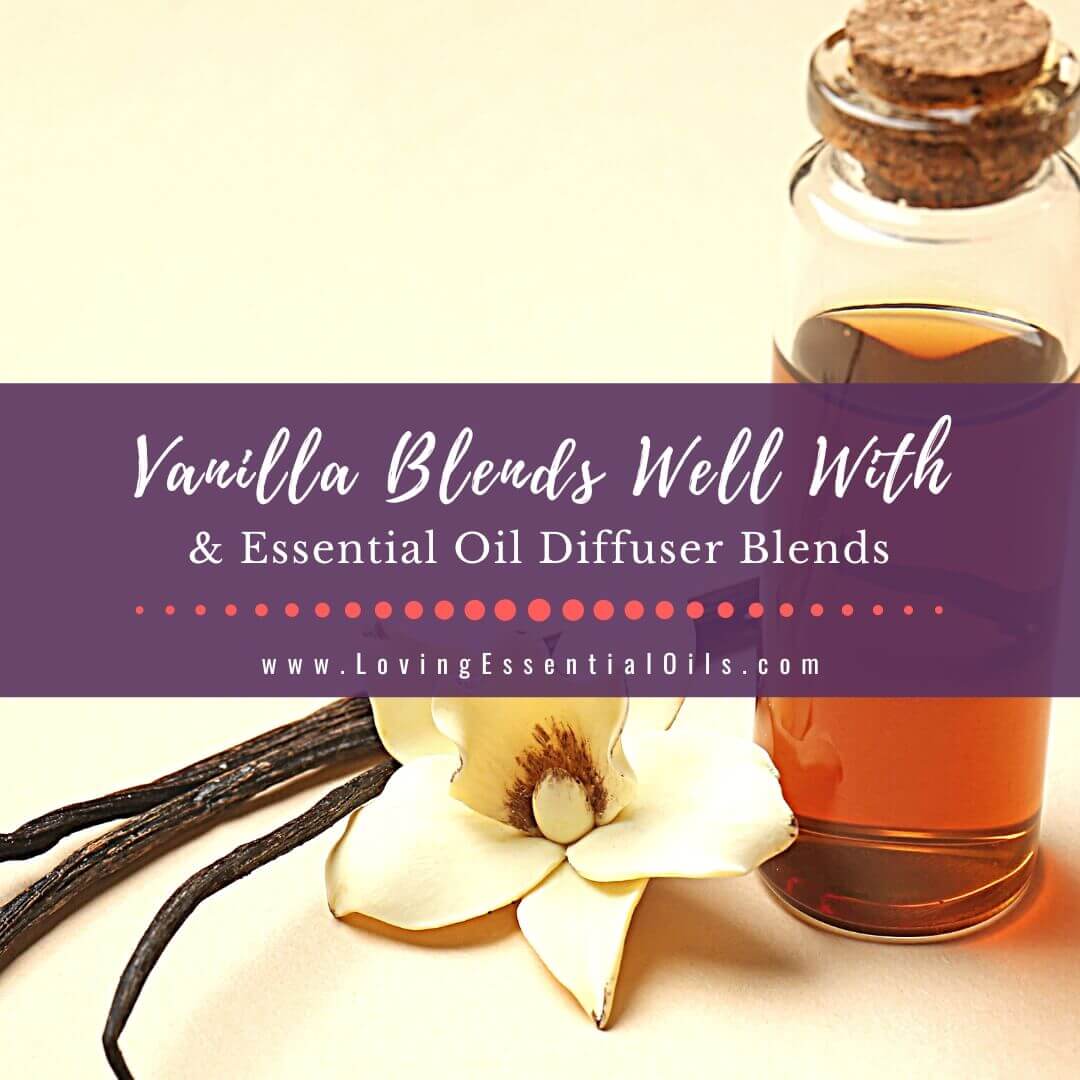 Vanilla Essential Oil Blends Well With PLUS Diffuser Blends