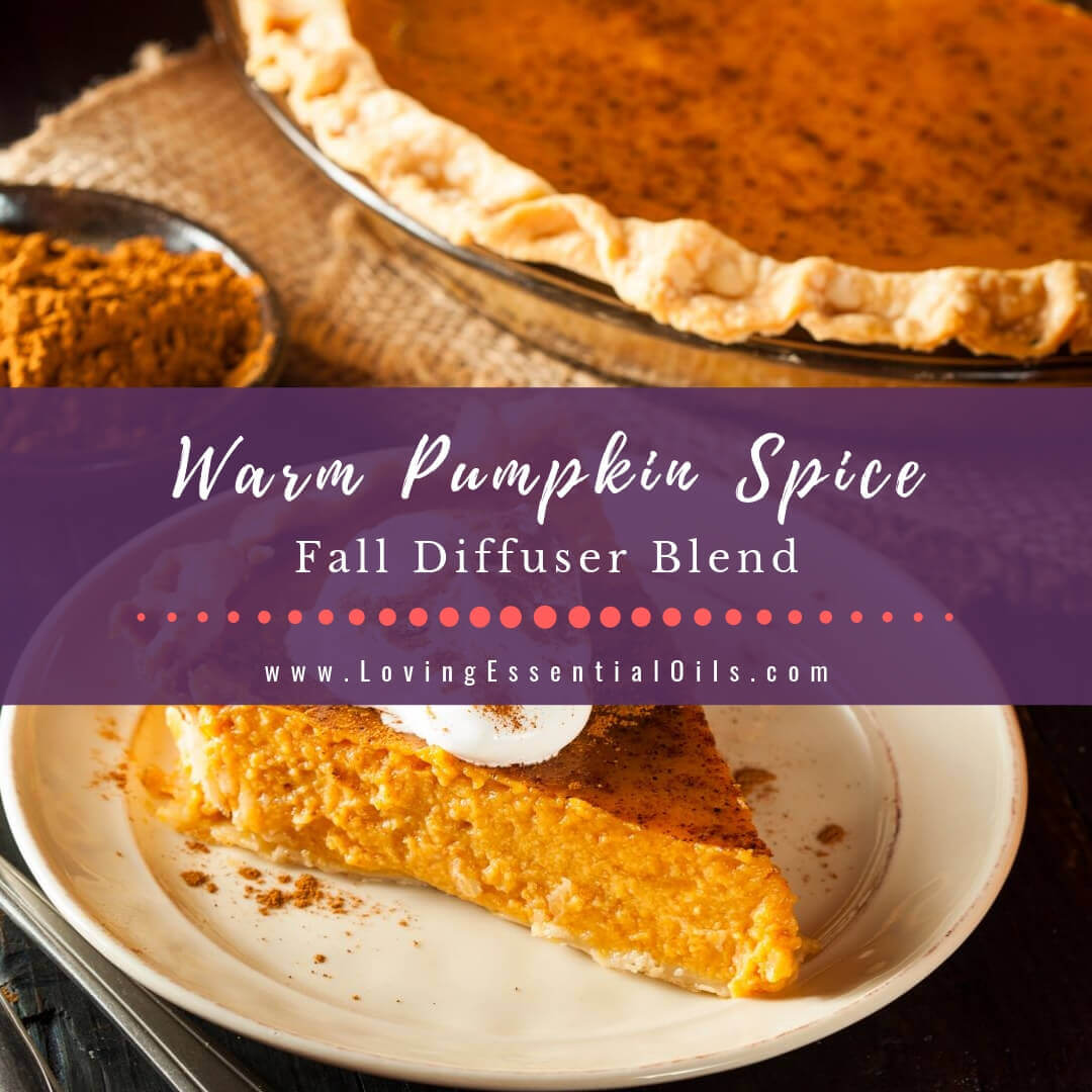 Warm Pumpkin Spice Blend Recipes & Diffuser Blends