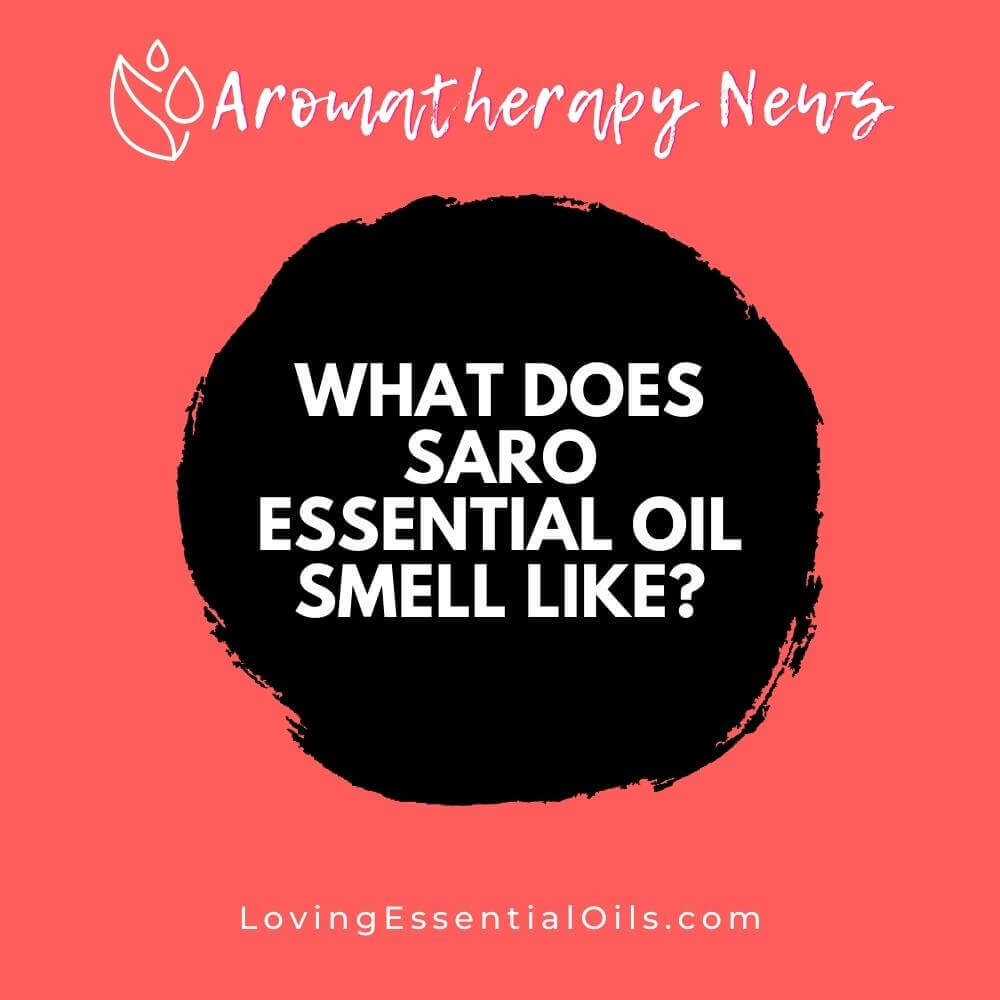 What Does Saro Essential Oil Smell Like? & Substitute Oils