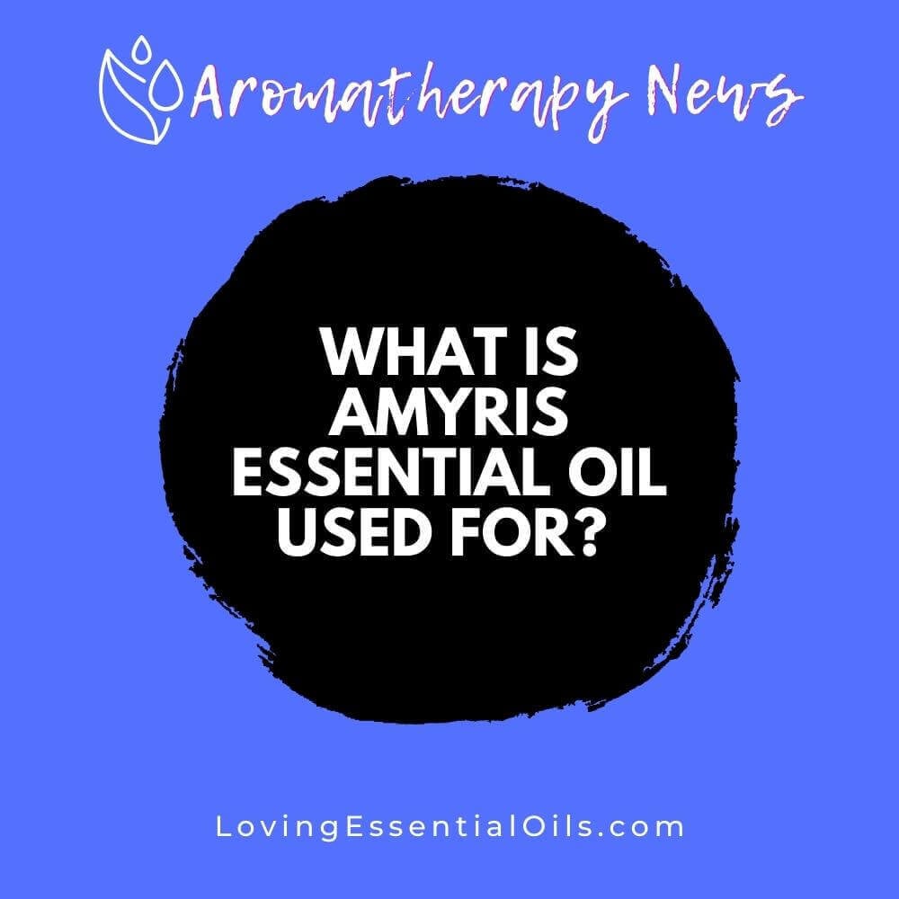 What is Amyris Essential Oil Used For? Plus Diffuser Blends