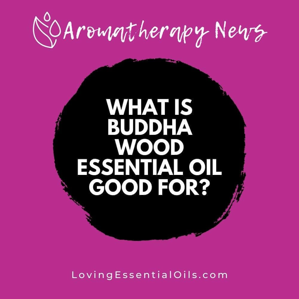 What is Buddha Wood Essential Oil Good For?