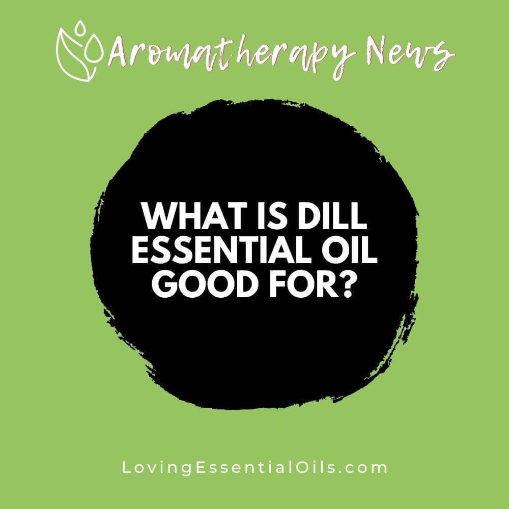 What is Dill Essential Oil Good For? Uses and Benefits